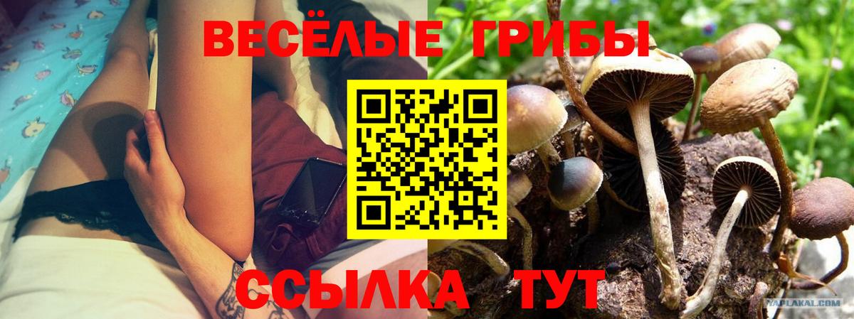 Псилоцибиновые грибы прущие грибы  Вход с VPN  Псилоцибиновые грибы мухоморы  Якутск 
